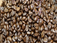 Cà phê hạt Robusta pha máy, espresso, pha phin giá bán sỉ chỉ 82k/kg Cà phê hạt Robusta pha máy, espresso, pha phin giá bán sỉ chỉ 82k/kg