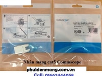 Nhân mạng Cat6 Commscope,Nhân mạng âm tường Cat6 Commscope chính hãng Nhân mạng Cat6 Commscope,Nhân mạng âm tường Cat6 Commscope chính hãng