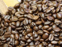 Cà phê pha máy, cà phê espresso chất lượng xuất khẩu hồ chí minh Cà phê pha máy, cà phê espresso chất lượng xuất khẩu hồ chí minh