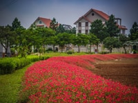 Chính chủ gửi bán 01 lô đất biệt thự 400m2 trong khu sinh thái Chính chủ gửi bán 01 lô đất biệt thự 400m2 trong khu sinh thái