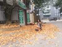 Cần cho thuê nhà Triều Khúc, 50m , 5 tầng, giá 13 triệu Cần cho thuê nhà Triều Khúc, 50m , 5 tầng, giá 13 triệu