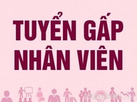 Cần tuyển gấp 2 nhân viên thu ngân tại quầy Cần tuyển gấp 2 nhân viên thu ngân tại quầy
