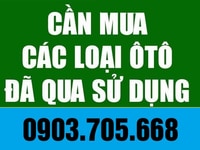 Cần mua các loại ôtô đã qua sử dụng, giá cao hơn thị trường