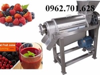 Máy ép hoa quả, máy chiết xuất nước cốt dừa, nước chanh công nghiệp Máy ép hoa quả, máy chiết xuất nước cốt dừa, nước chanh công nghiệp
