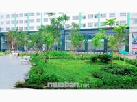 Căn duplex khu Trung Sơn, mặt tiền đường 9A, nội thất hoàn thiện Căn duplex khu Trung Sơn, mặt tiền đường 9A, nội thất hoàn thiện