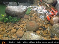 Bán cặp đất ngay sông Cẩm An - Hội An, làm Homestay Bán cặp đất ngay sông Cẩm An - Hội An, làm Homestay