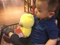 Hiện nay gia đình chúng tôi cần tuyển GẤP 2 người làm việc Hiện nay gia đình chúng tôi cần tuyển GẤP 2 người làm việc