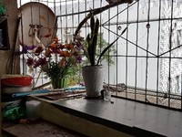 Bán căn hộ tập thể 70m2 Bộ Nông Nghiệp, I4 Phương Mai Bán căn hộ tập thể 70m2 Bộ Nông Nghiệp, I4 Phương Mai