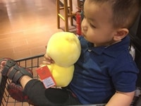 Tôi cần gấp một cô giúp việc chăm trẻ Tôi cần gấp một cô giúp việc chăm trẻ