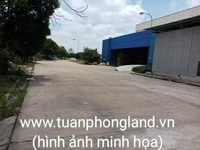 Cần cho thuê kho xưởng 1200m2 đường An Dương Vương, Quận 6. Cần cho thuê kho xưởng 1200m2 đường An Dương Vương, Quận 6.