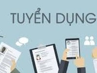 Tuyển Nhân Viên Hành Chính Văn Phòng Tuyển Nhân Viên Hành Chính Văn Phòng