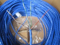 Dây cáp mạng AMP cat5e xanh giá rẻ tại hà nội Dây cáp mạng AMP cat5e xanh giá rẻ tại hà nội