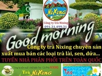 Tuyển cộng tác viên bán thực phẩm (không cần vốn) Tuyển cộng tác viên bán thực phẩm (không cần vốn)