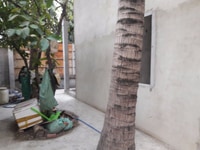 Đất hơn 400m đường Chánh Hưng gần Thế Giới Di Động Đất hơn 400m đường Chánh Hưng gần Thế Giới Di Động