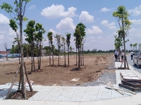 Thanh lý 3 lô đất thổ cư xây trọ và kinh doanh MT ĐT 833B, ngay chợ Thanh lý 3 lô đất thổ cư xây trọ và kinh doanh MT ĐT 833B, ngay chợ