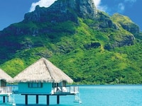 Cần gấp 1 người giữ trẻ 1 người giúp việc nhà 1 người chăm người già Cần gấp 1 người giữ trẻ 1 người giúp việc nhà 1 người chăm người già