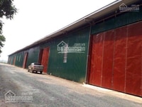 Chính chủ cho thuê kho - xưởng. khu tân triều DT 150 đến 250m2. 60k/m2 Chính chủ cho thuê kho - xưởng. khu tân triều DT 150 đến 250m2. 60k/m2