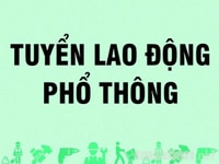 Tuyển nam nữ 18-45t làm giờ hành chính Tuyển nam nữ 18-45t làm giờ hành chính