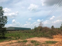 Cho thuê gấp lô đất mặt tiền đường Chuyên Dùng, Phước Tân, TP.Biên Hòa Cho thuê gấp lô đất mặt tiền đường Chuyên Dùng, Phước Tân, TP.Biên Hòa