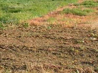 Bán Lô C-1,Đường Tỉnh Lộ 826, gần chợ Rạch Kiến, sổ hồng riêng, 103m2 Bán Lô C-1,Đường Tỉnh Lộ 826, gần chợ Rạch Kiến, sổ hồng riêng, 103m2