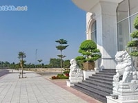 Chính chủ bán đất nền dự án Golden bay Chính chủ bán đất nền dự án Golden bay