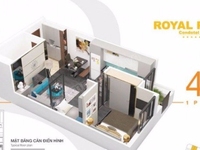 Cho thuê căn hộ 1-3PN Royal Park Bắc Ninh từ 8 triệu/tháng. Cho thuê căn hộ 1-3PN Royal Park Bắc Ninh từ 8 triệu/tháng.