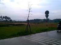 Đất đẹp tiện nghi,KĐTM Central Gate sẽ là nơi cho bạn đầu tư sinh lời Đất đẹp tiện nghi,KĐTM Central Gate sẽ là nơi cho bạn đầu tư sinh lời