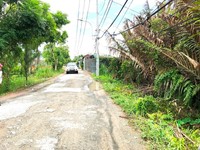 Bán Đất MT Nguyễn Đinh Kiên 3100m2, 25 Tỷ Xã Tân Nhựt Bình Chá Bán Đất MT Nguyễn Đinh Kiên 3100m2, 25 Tỷ Xã Tân Nhựt Bình Chá