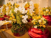 Xích Lô Ăn Hỏi, Nhà Bạt, Cổng Hoa, Cưới Hỏi Trọn Gói TIANA Xích Lô Ăn Hỏi, Nhà Bạt, Cổng Hoa, Cưới Hỏi Trọn Gói TIANA
