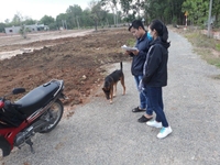 Đất Long Thành sát khu công nghiệp 320 triệu Đất Long Thành sát khu công nghiệp 320 triệu