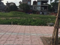 Cần bán đất phân lô 75m2 mt 5m 60tr m2 Thượng Thanh Long Biên Hà Nội Cần bán đất phân lô 75m2 mt 5m 60tr m2 Thượng Thanh Long Biên Hà Nội
