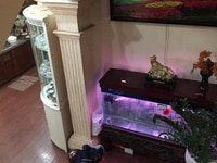 Nhà đẹp phân lô Hoàng Quốc Việt, DT 42m2, 5 tầng, MT 4m, 6,3 tỷ, ô tô Nhà đẹp phân lô Hoàng Quốc Việt, DT 42m2, 5 tầng, MT 4m, 6,3 tỷ, ô tô