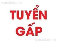Nhà 3 tầng có cầu thang máy ,cần tìm gấp một bác giúp việc Nhà 3 tầng có cầu thang máy ,cần tìm gấp một bác giúp việc