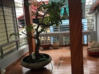 Bán biệt thự mặt ngõ 93 Cầu Giấy DT 100 M2 X 3 T 13,6 TY Bán biệt thự mặt ngõ 93 Cầu Giấy DT 100 M2 X 3 T 13,6 TY
