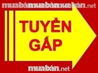 Cần tuyển Nhân Viên Chăm Sóc Khách Hàng Hỗ Trợ Kinh Doanh Cần tuyển Nhân Viên Chăm Sóc Khách Hàng Hỗ Trợ Kinh Doanh