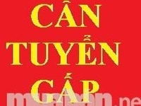 Showroom cần thêm nhân viên chăm sóc khách hàng Showroom cần thêm nhân viên chăm sóc khách hàng