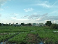 Bán đất khu tái định cư người hoa Nguyễn thị Tú quận Bình Tân Bán đất khu tái định cư người hoa Nguyễn thị Tú quận Bình Tân