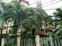 Chính chủ cần cho thuê biệt thự hẻm 12m bình lợi p13 bình thạnh DT9X20 Chính chủ cần cho thuê biệt thự hẻm 12m bình lợi p13 bình thạnh DT9X20