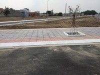 Thua cá độ thanh lí gấp lô đất đường lương định của quận 2 Thua cá độ thanh lí gấp lô đất đường lương định của quận 2