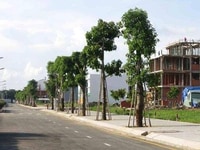 Cần Bán Gấp Lô Đất Mặt Tiền Quốc Lộ 50 Để Kinh Doanh. SHR Cần Bán Gấp Lô Đất Mặt Tiền Quốc Lộ 50 Để Kinh Doanh. SHR
