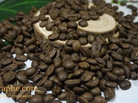 Mua cafe hạt nguyên chất giá sỉ tại Bình Dương Mua cafe hạt nguyên chất giá sỉ tại Bình Dương
