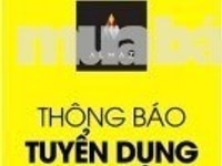 Cần tuyển dụng nhân viên văn phòng đi làm ngay Cần tuyển dụng nhân viên văn phòng đi làm ngay