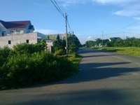 Đất nền khu tái định cư Tân Đức giá rẻ,shr. Đất nền khu tái định cư Tân Đức giá rẻ,shr.