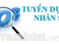 Công ty cần tuyển Chuyên viên Kinh doanh Công ty cần tuyển Chuyên viên Kinh doanh