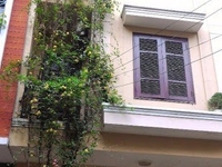 Cho thuê nhà khu biệt thự 130 phố Đốc Ngữ, phường Vĩnh Phúc Cho thuê nhà khu biệt thự 130 phố Đốc Ngữ, phường Vĩnh Phúc