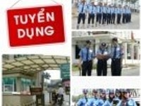 Tuyển gấp nam nữ bảo vệ giám sát camera nhận việc ngay, không thu phí Tuyển gấp nam nữ bảo vệ giám sát camera nhận việc ngay, không thu phí