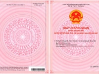 Thửa đât phân lô 48m2 khu đấu giá Ngô Thì Nhậm, Hà Đông, vị trí đẹp. Thửa đât phân lô 48m2 khu đấu giá Ngô Thì Nhậm, Hà Đông, vị trí đẹp.