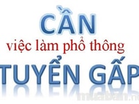 Cần gấp 10 nhân viên hướng dẫn khách tại chi nhánh Cần gấp 10 nhân viên hướng dẫn khách tại chi nhánh