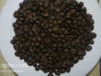 Cafe hạt nguyên chất tiêu chuẩn xuất khẩu cho các đơn vị kinh doanh Cafe hạt nguyên chất tiêu chuẩn xuất khẩu cho các đơn vị kinh doanh
