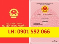 Bán mảnh đất lớn tại Đông Sơn, Thủy Nguyên, diện tích 10.000m Bán mảnh đất lớn tại Đông Sơn, Thủy Nguyên, diện tích 10.000m